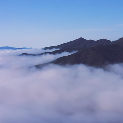 사업분야